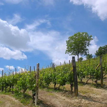 Cascina Tra I Vigneti A