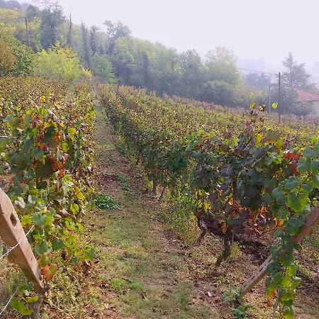 Cascina Tra I Vigneti A