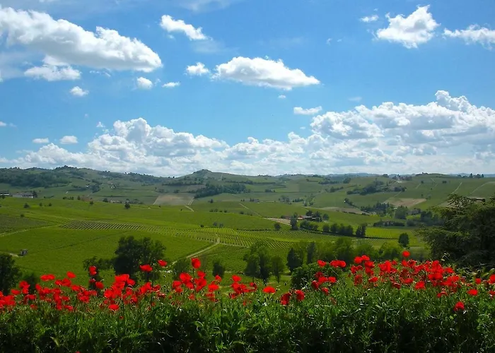 Cascina Tra I Vigneti A Vakantiehuis