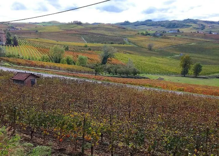 Cascina Tra I Vigneti A Vakantiehuis *