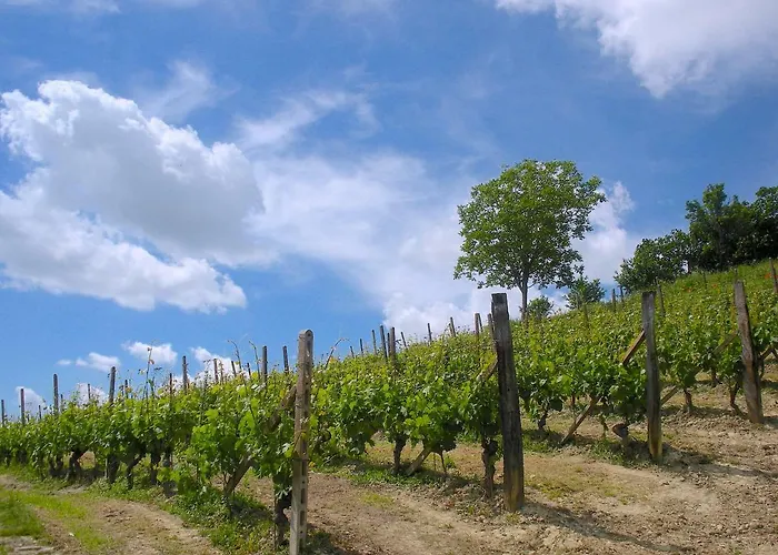 Cascina Tra I Vigneti A