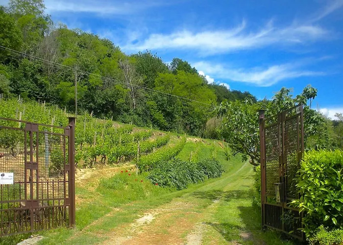 Cascina Tra I Vigneti A *