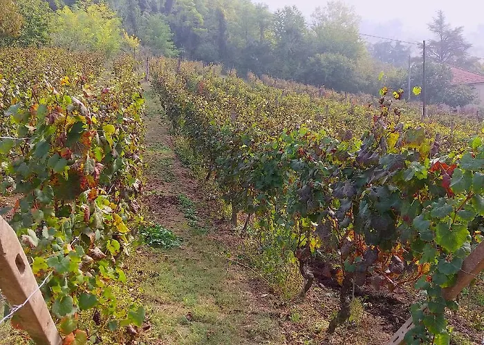 Cascina Tra I Vigneti A