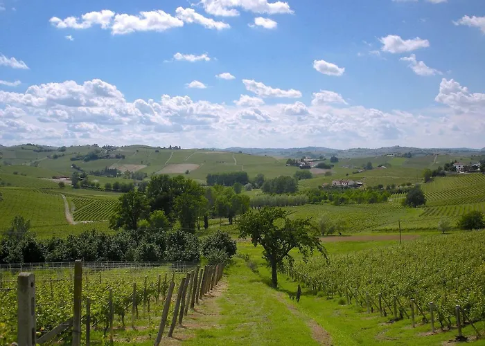 Cascina Tra I Vigneti A Vakantiehuis *